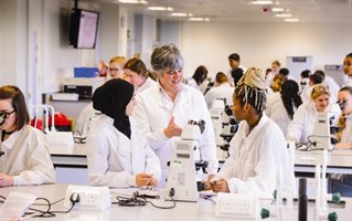 Students in a laboratory setting