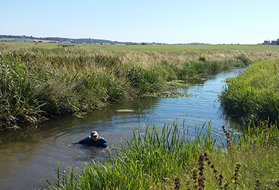 Aquatic-Pevensey