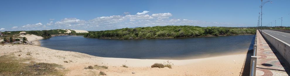 River running through mangroves