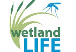 WetlandLIFE