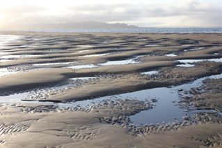 Aerial photograph across wetland area with landmasses and water channels