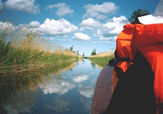 boat journey down wetland river with reeds, high-vis jacket for researchers in boat