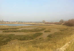 Chichester-harbour-Bosham