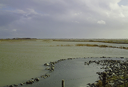 Medmerry nature reserve during high tide