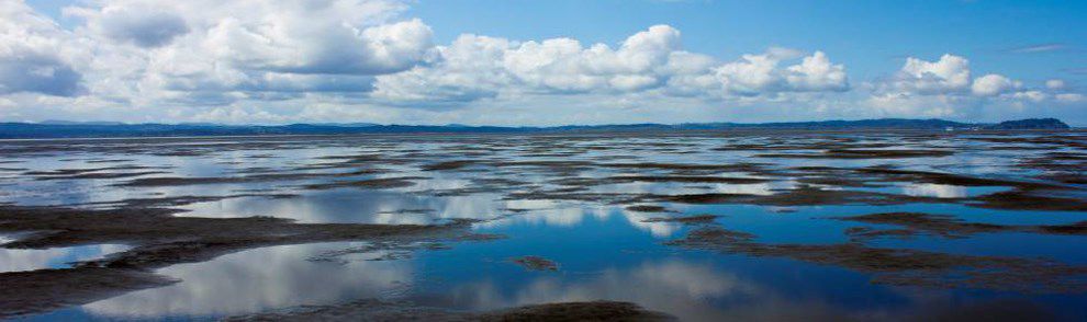 shoreline landscape with pooling water and distant mountains