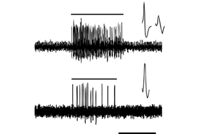 electrophysiological-recordings-box