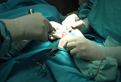 CRMD-work-with-us-image