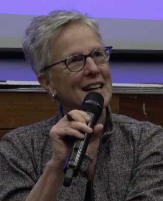 Professor Wendy Brown presents at a CAPPE conference in Brighton