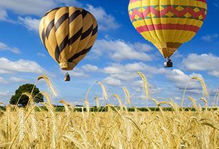 Hot air balloons against blue sky and cloud over a field of wheat