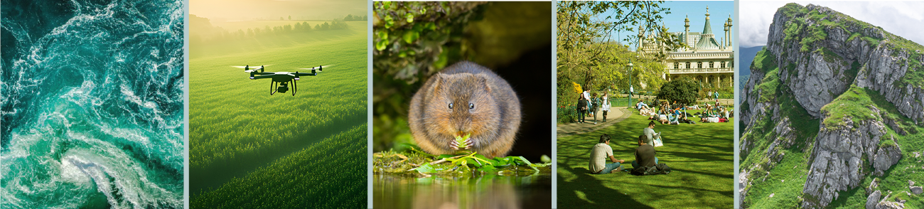 Five panel image representing research in environment and society: water, rock, drone, Brighton Pavilion gardens and a water vole.