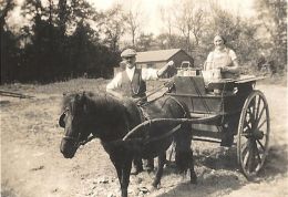 Black and white image of rural scene with pony and two-wheeled cart. Two figures look happily at the camera. A man in a waistcoat with watch chain and cloth cap stands by the blinkered pony. A woman is in the cart with bags.