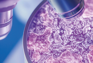 Microscope view of blood sample represents research in regenerative medicine and devices