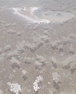 Saltworks shows floating debris in water