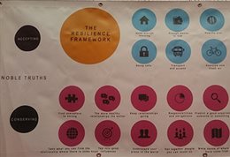 A graphic showing the Resilience framework - rows of pink and blue circles with images of home, family, bicycle etc.