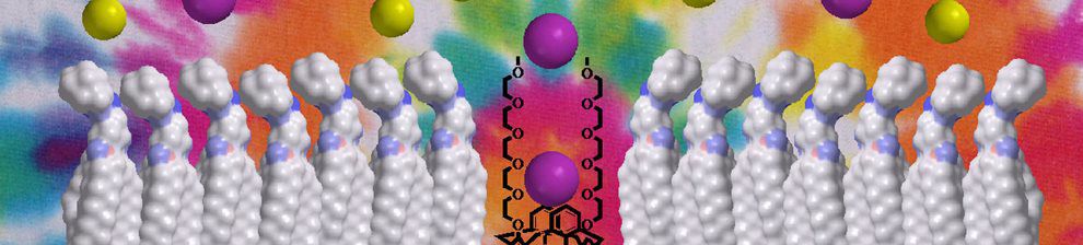 Coloured image of chemical cell processes.