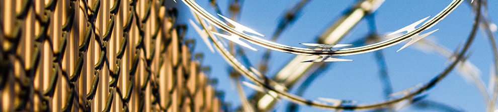 A close up of razor wire representing research studies in criminology.