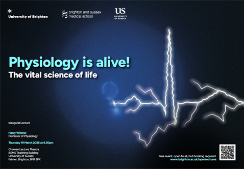 Harry Witchel inaugural graphic