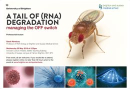 Graphic publicising inaugural lecture titled: A tail of (RNA) degradation; managing the OFF switch, featuring an insect as well as four images of cell structures
