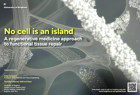 Susan Sandeman inaugural graphic