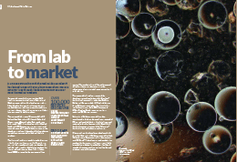Article in Making Research Matter on From Lab to Market