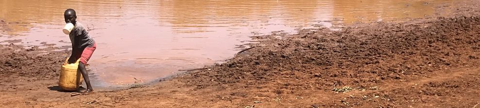 A young Kenyan child collects water at a brown pool, cows bathe in the distance. Water contamination research from the University of Brighton.