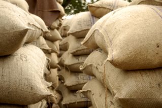 Towers of rough jute sacks containing cocoa. Courtesy David Greenwood-Haigh and PIxabay.
