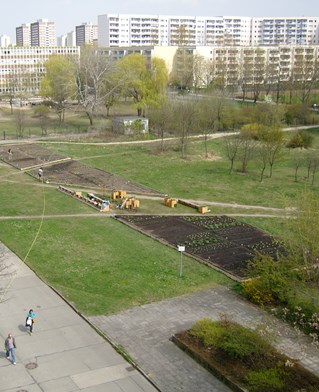 A green park area with distant blocks of flats. Through the middle of the lawn are plots of agricultural production with gardeners watering