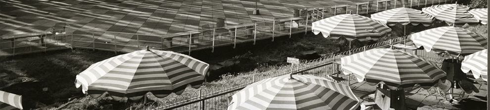 Black and white photograph of hooped table umbrellas with mid-twentieth-century architecture in the background. Design Council Archive Design Archives catalogue number GB-1837-DES-DCA-30-1-FOB-CO-12