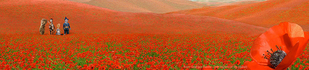 Hand drawn field of poppies with large poppy to right. Characters from the Wizard of Oz, Dorothy, Tin Man, Lion and Scarecrow walk through it, created from puppets. Illustration by Graham Rawle for his 2009 edition of The Wizard of Oz by Frank Baum.