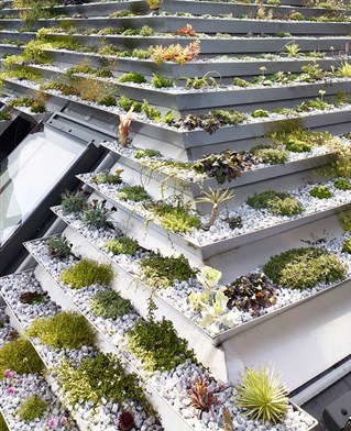 Roof of Nick Hayhurst's Garden house showing arrangement of planted guttering.