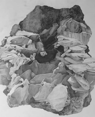 Monochrome hand drawing of enlarged dust particle. A pencil drawing of what appears as a massive object built of layers and plates, resembling a cave entrance or even the underside of a giant insect with leg shapes clustered in. The depth of the highly de