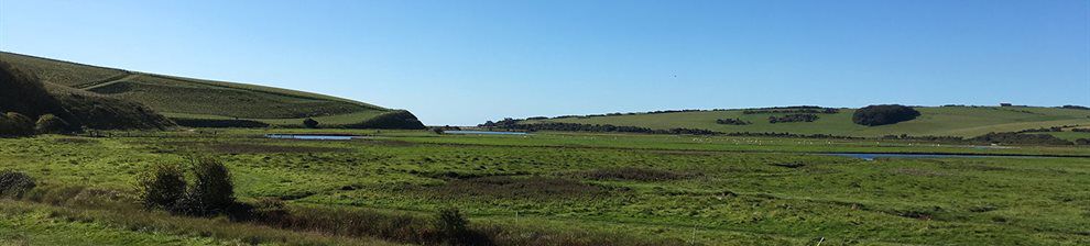 Photo of wetlands