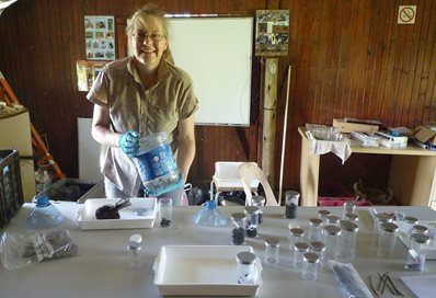 Anja Rott working in the lab