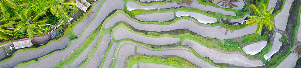 Aerial view of water in a delta