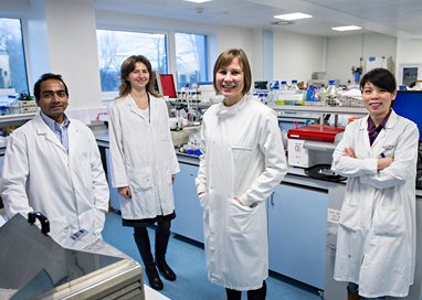 Susan Sandeman and team