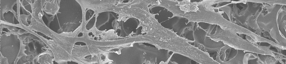 Biomaterial studied at a molecular level