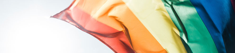 A rainbow flag - banner for the Centre for Transforming Sexuality and Gender