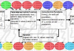 DDM-lipid-homeostasis