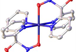 Molecular-structure-of-the-metal-radical-cation