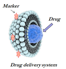 OncoNano-bbb-drug-delivery