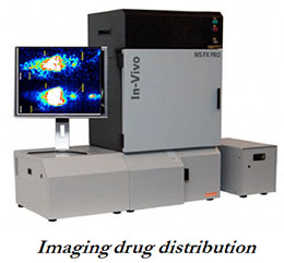 OncoNanoBBB-drug-imaging