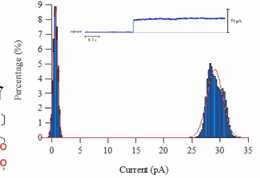 Probing-Ion-transport-mechanisms-graph