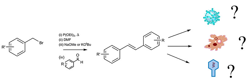 STRAND-reseveratrol-diagram