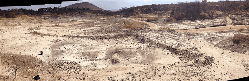 Museum-site-stich