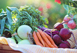 Sustainable food