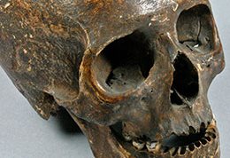 Skull
