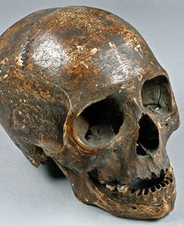 Skull