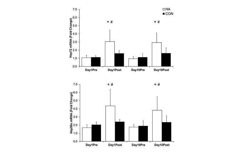 FIGURE2SESAME