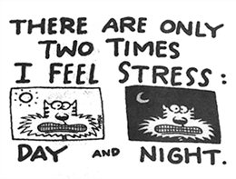Stress cartoon saying There are only two times I get stressed, Day and Night