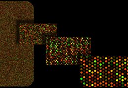 CPSmith_Vitamin_D_project_image